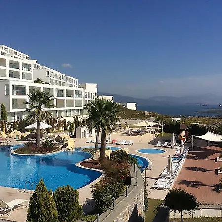 Horizon Sky Cherry 9 Kıyıkıslacık